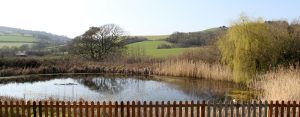 view of lake