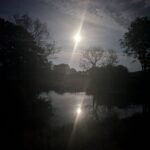 Moonlight over swimming lake